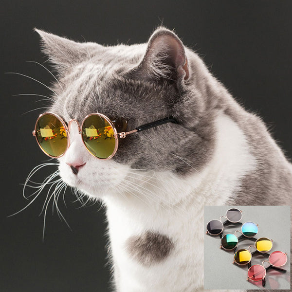 New Money Pet Cat Glasses Dog Glasses Pet Products for Little Dog Cat Eye Wear Dog Sunglasses Photos Props Accessories Pet Supplies Toy